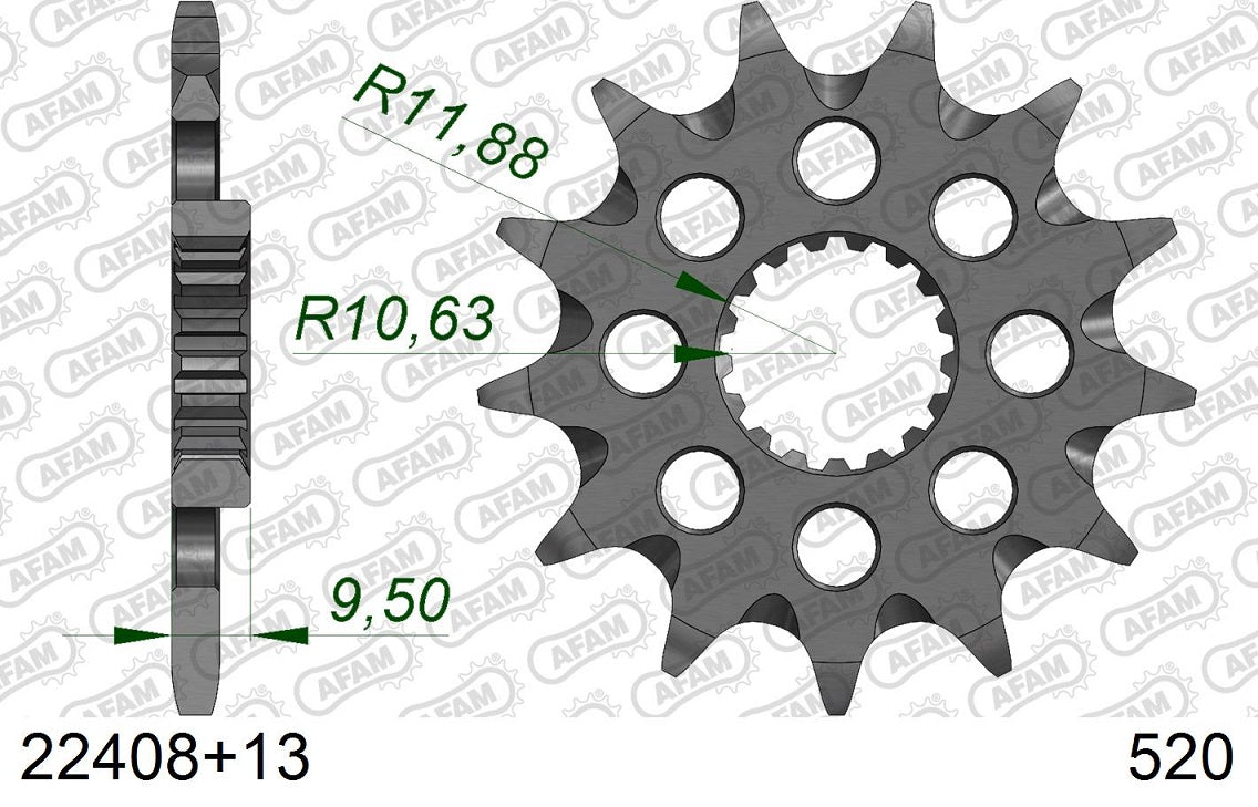 Pignone in acciaio AFAM SUZUKI RMZ 450 2013-2023 Passo 520 - 13 denti - Autopulente