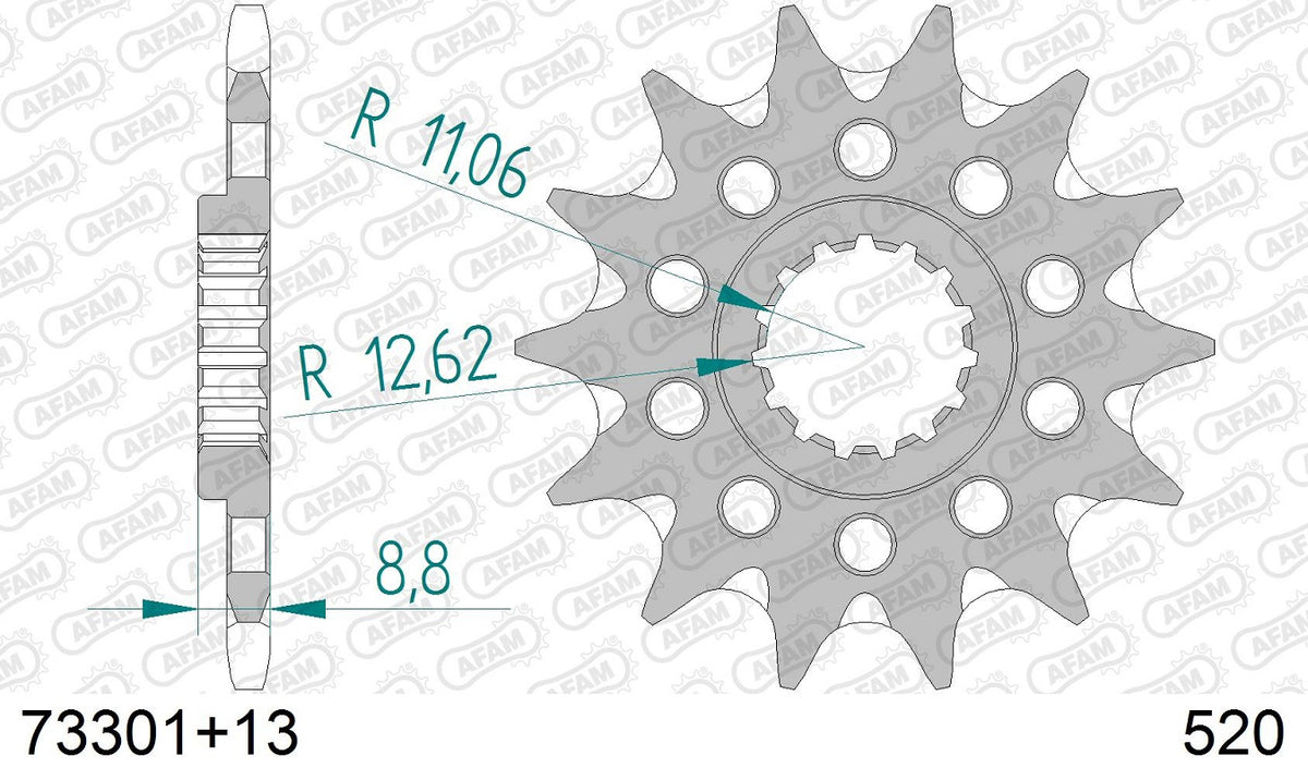 Pignone in acciaio AFAM HUSABERG 250 FE 2013-2014 Passo 520 - 13 denti - Autopulente