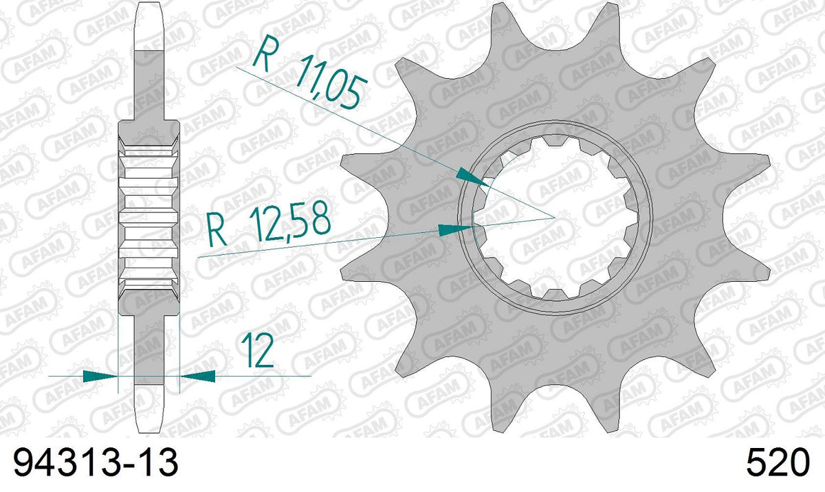 Pignone in acciaio AFAM GAS GAS EC 250 2003-2019 Passo 520 - 13 denti
