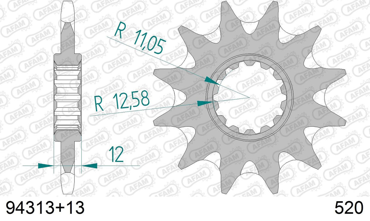 Pignone in acciaio AFAM GAS GAS EC 300 2003-2019 Passo 520 - 13 denti - Autopulente