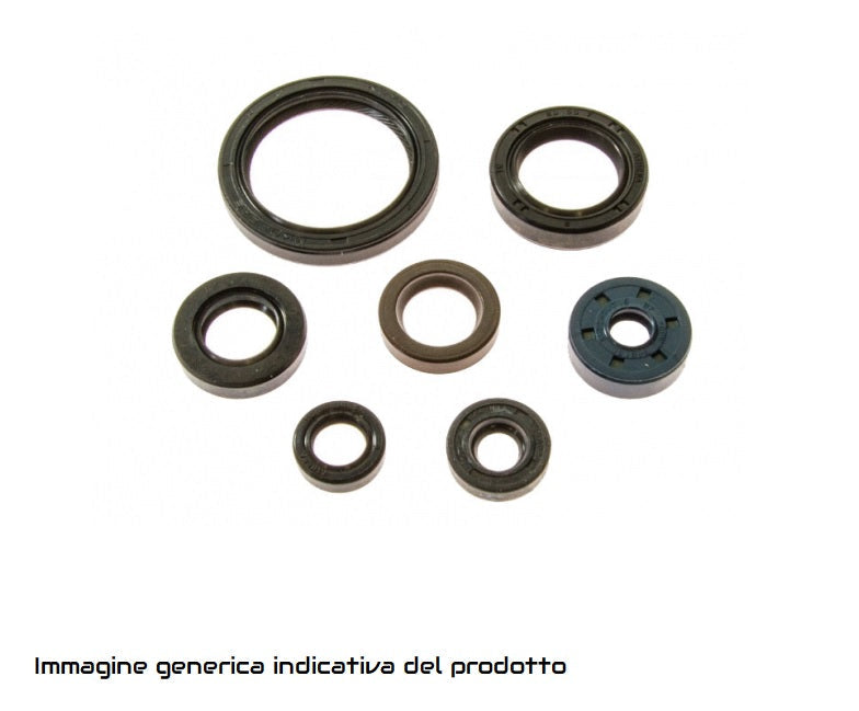 KIT PARAOLI motore KTM 620 LC4 1996-2002