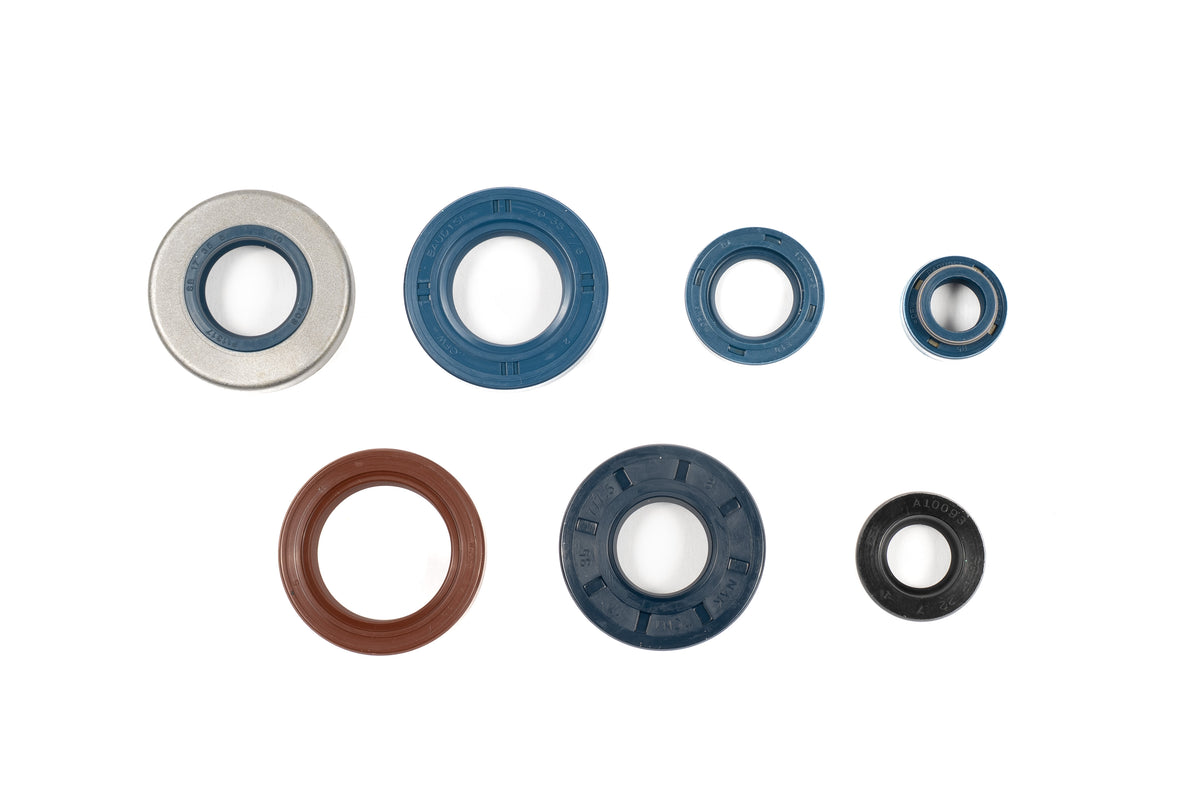 KIT PARAOLI MOTORE MINARELLI AM6 50 2001-2025