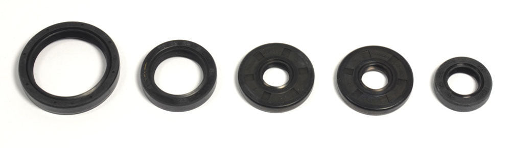 KIT PARAOLI MOTORE BMW G 450 X 2007-2010