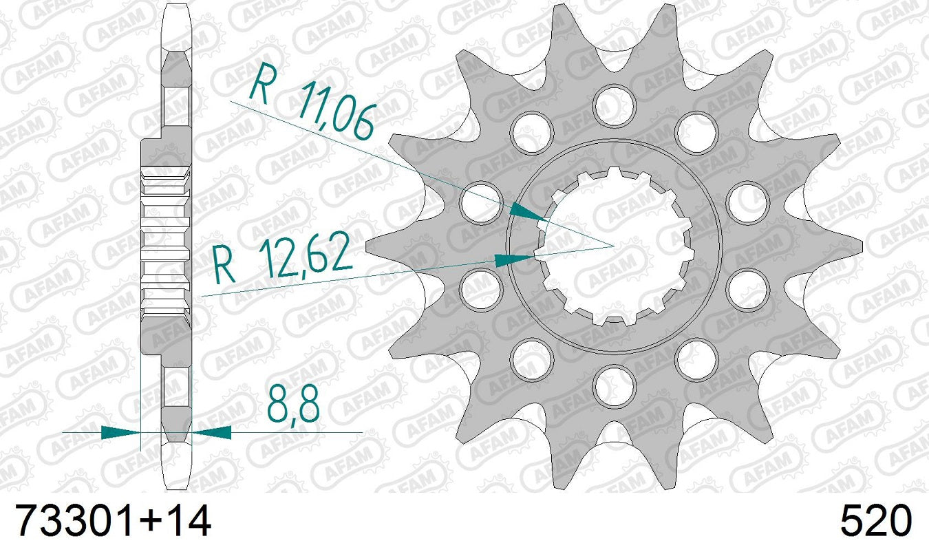 Pignone in acciaio AFAM GAS GAS MC 250 2022-2023 Passo 520 - 14 denti - Autopulente